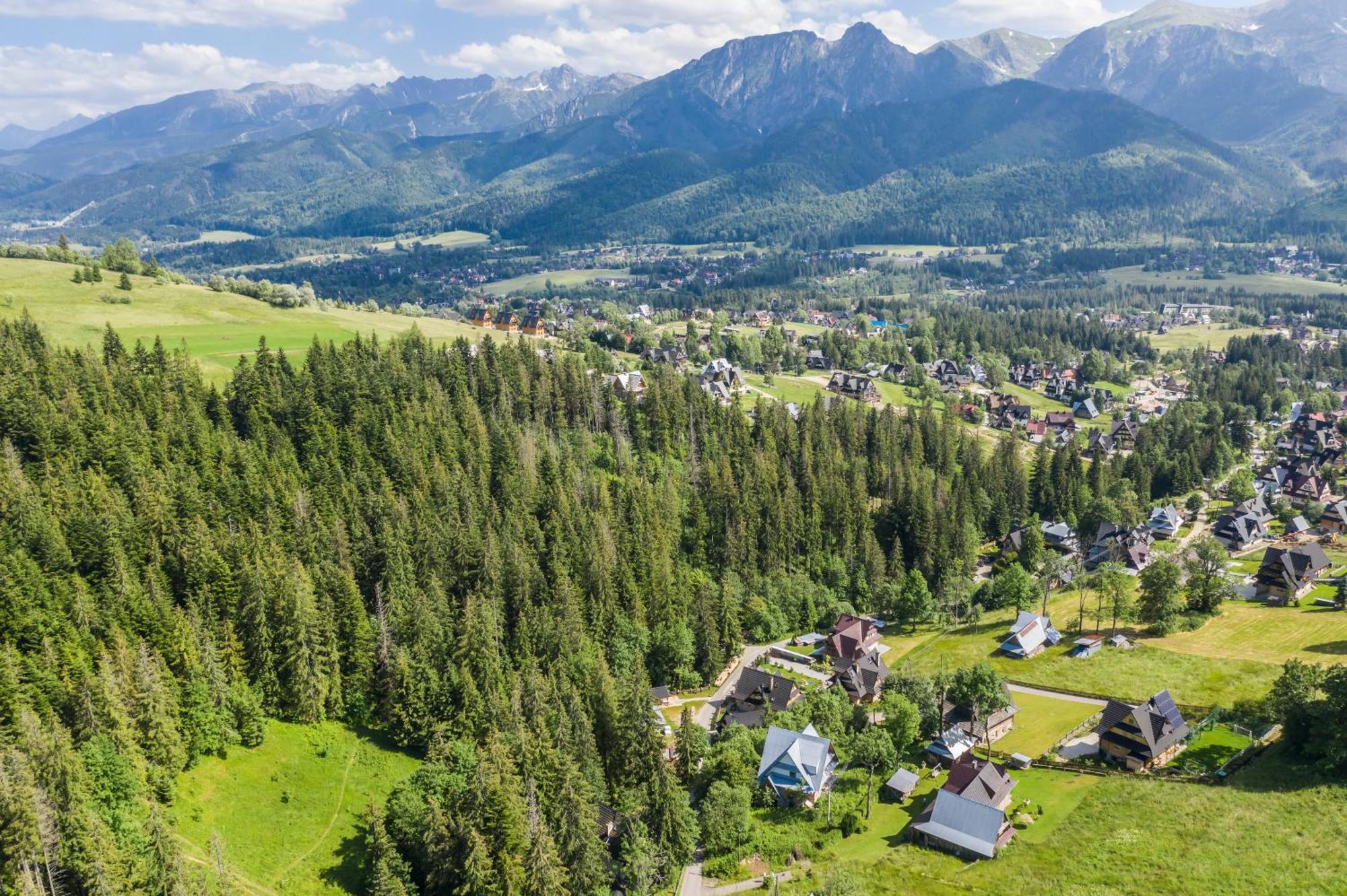 Tatrytop Alpejski Spa Kościelisko Exteriör bild